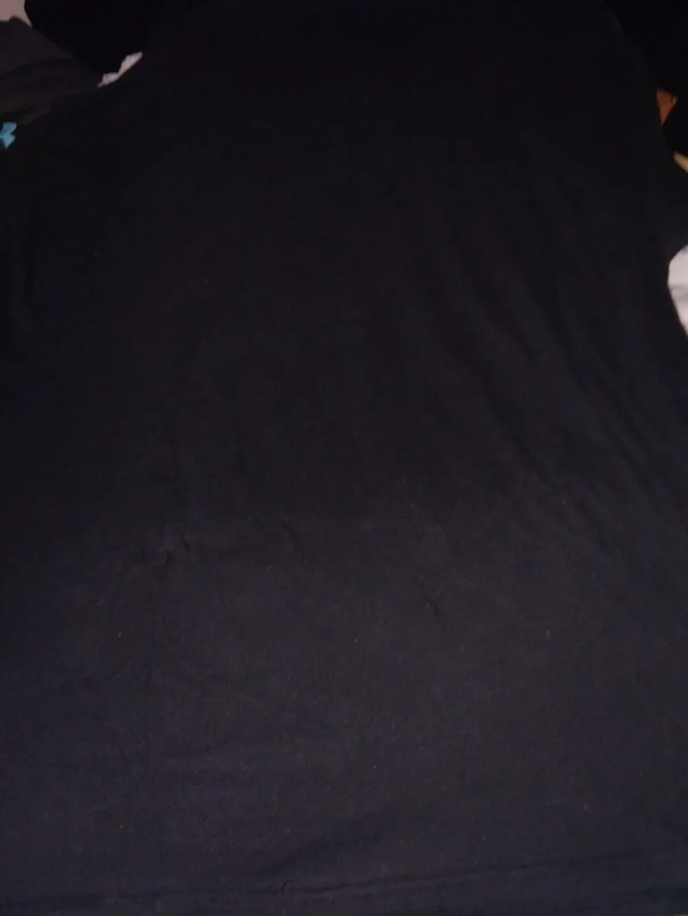 Black Graphic Def Leppard Womans Tee with Roaring Leopard Print Size XXL